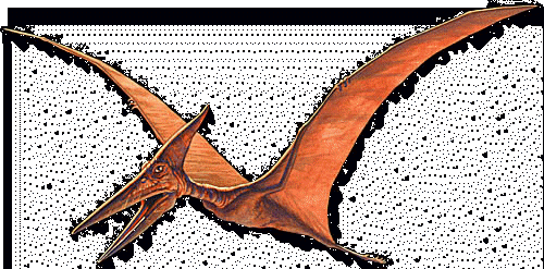 ls