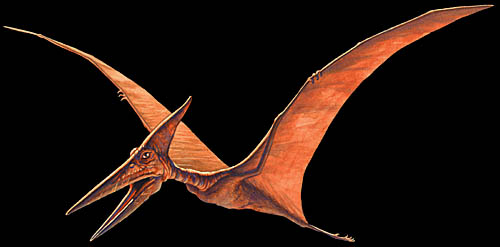 ls