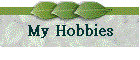 My Hobbies