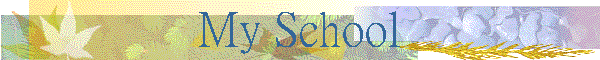 My School