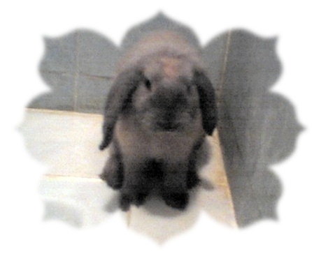 mY BB ar^_^