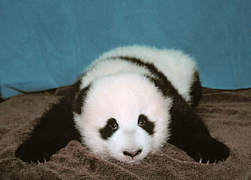 �Y�}�nCute�O^_^