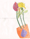 ch222.gif (306267 �Ӧ줸��)