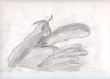 ch666.gif (274782 �Ӧ줸��)