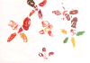 ch777.gif (184839 �Ӧ줸��)