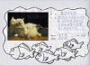 ch888.gif (247415 �Ӧ줸��)