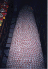 b14.gif (239236 �Ӧ줸��)