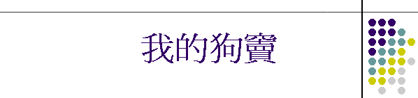 我的狗竇