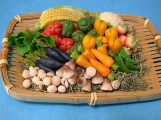 vegetable