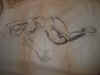 DSCF1516.JPG (28001 �Ӧ줸��)