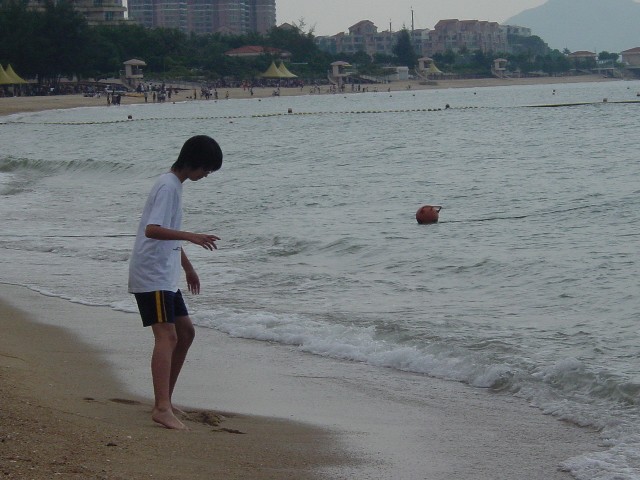 Photograph