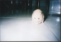 Thumbs/tn_Img57.jpg