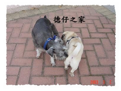 ѦnhBͧrI