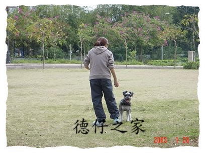 ڨ쪨vڧrI