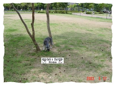 njӯ졹