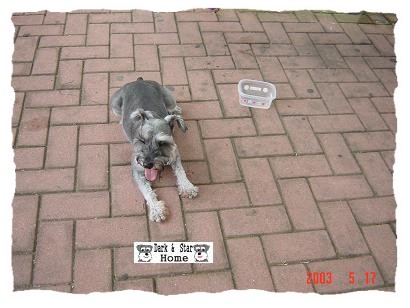 체aI