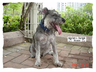 체aI