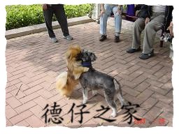 oѨBͥJ rI