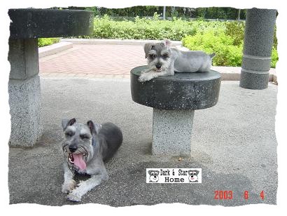 체aI