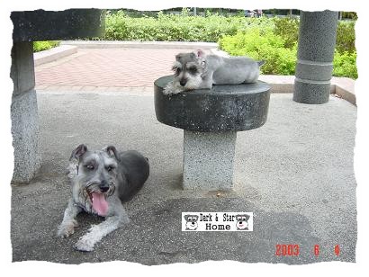 체YI