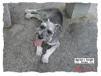 체aI