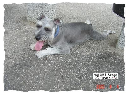 체aI