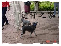 oѨBͥJah bei rI