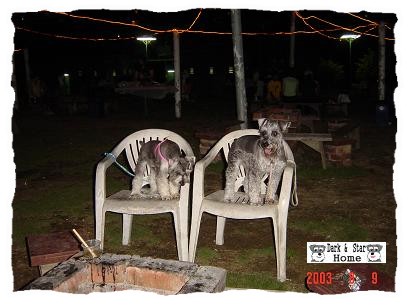 wJMPP@bbq