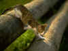 c30.jpg (54749 Ӧ줸)