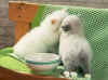 c174.jpg (110459 Ӧ줸)
