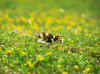 c183.jpg (114756 Ӧ줸)