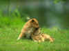 c187.jpg (98408 Ӧ줸)