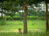c189.jpg (115842 Ӧ줸)