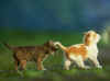 c191.jpg (78634 Ӧ줸)