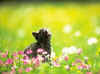c192.jpg (101576 Ӧ줸)