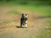 c197.jpg (75476 Ӧ줸)