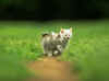 c198.jpg (74865 Ӧ줸)
