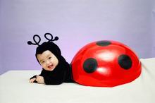 I am a beetle