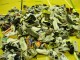 Thumbs/tn_Dsc02627.jpg