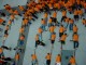 Thumbs/tn_Dsc02720.jpg