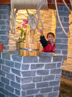 DSCN1911