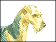 U Airedale Terrier
