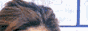 logotwins3.gif (28049 bytes)
