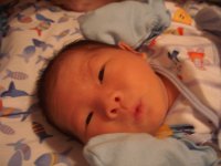 200508273.jpg