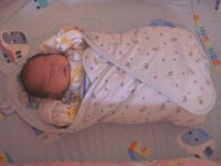 200508313.jpg