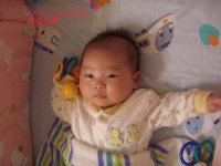 200510251.jpg