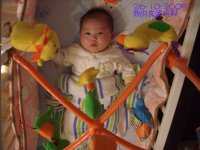 200510262.jpg
