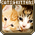 Cats & Kittens