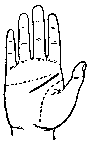 zu54.gif (867 bytes)