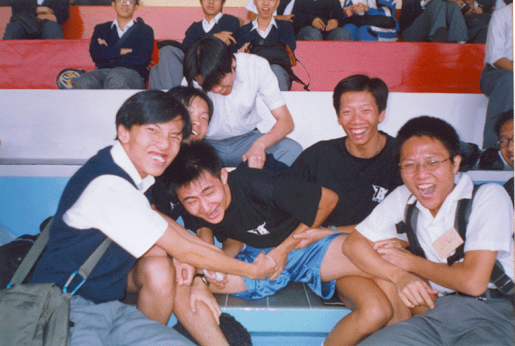 7.gif (266019 bytes)